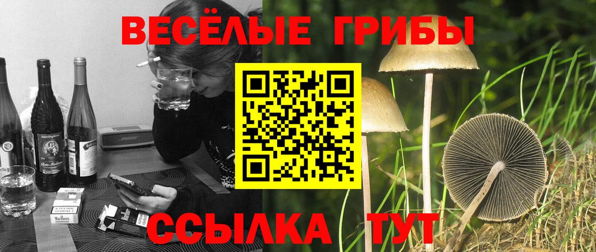 Галлюциногенные грибы GOLDEN TEACHER Мирный
